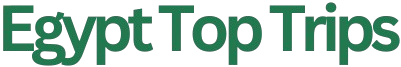 Feliz Tour Logo