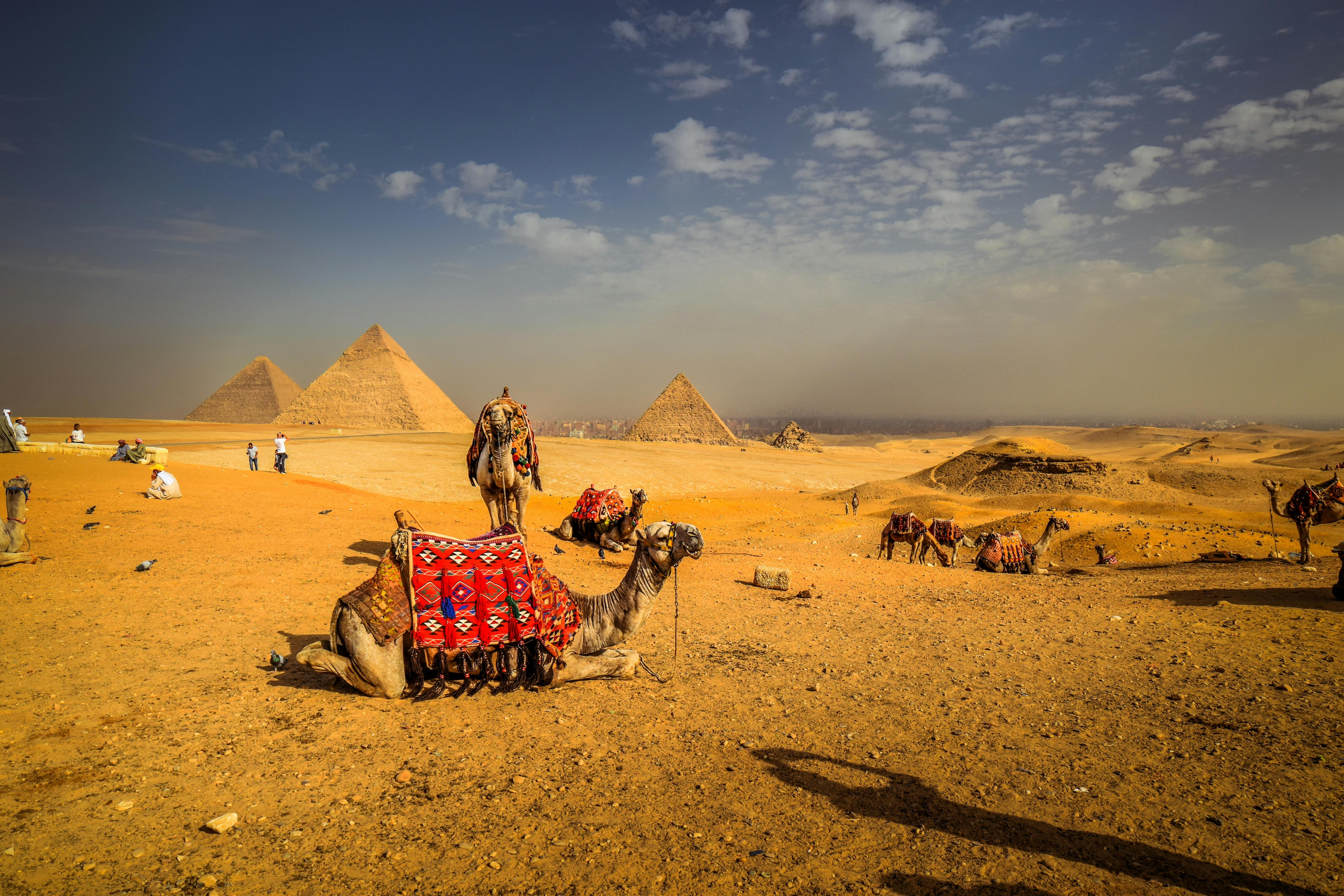 Alexandria Destination Image